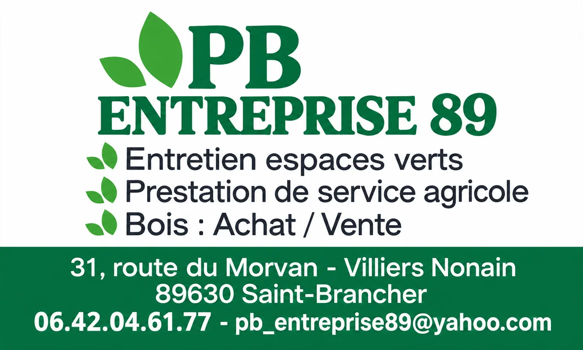 Carte de visite PB Entreprise 89